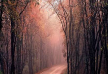 PG游戏：德天空：尼科和吉滕斯在拜仁的边锋引援候选中名列前茅.