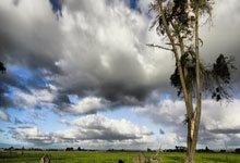 PG游戏：举重：何岳基获得举重男子67公斤级两枚金牌.