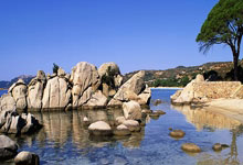 视频-郭晶晶展现完美第四跳奥运女子跳水决赛.